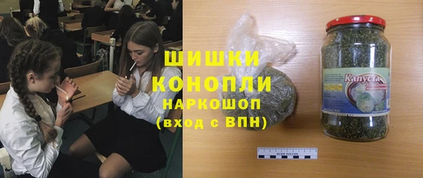 дурь Пестово