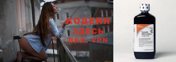 индика Абаза