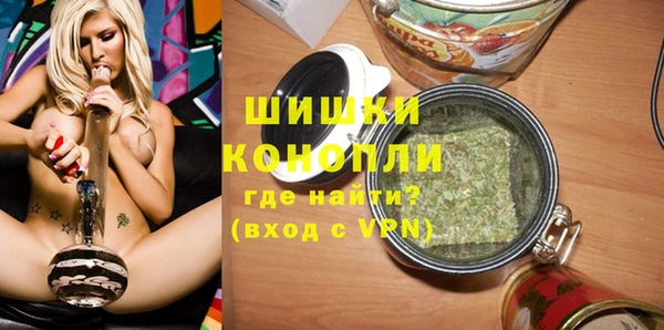индика Абаза