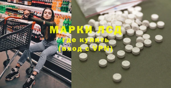индика Абаза