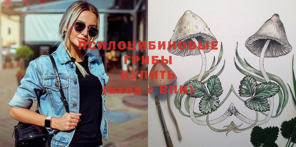 бошки Абинск