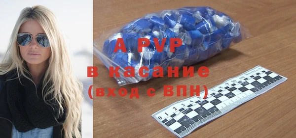 индика Абаза