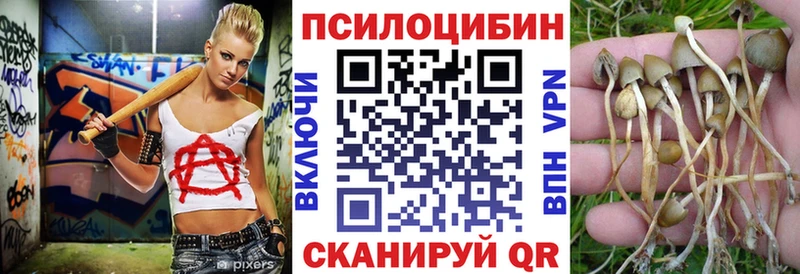 Галлюциногенные грибы Magic Shrooms  Шумиха 