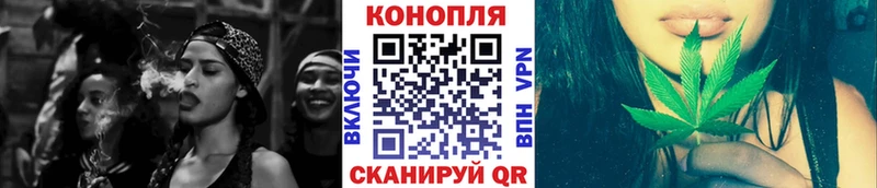 наркота Шумиха Конопля планчик